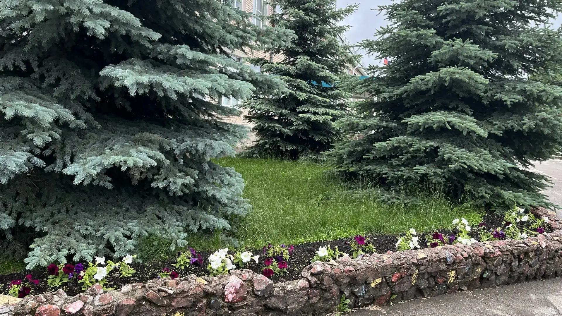 🌷🌺 🌹🌻🌹🌼🌸Наша школа присоединилась к всероссийской акции «Цветы России»!
Мы с гордостью сообща