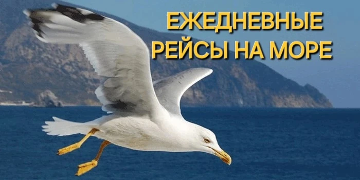 ЗАПИСЬ НА ПОЕЗДКИ К МОРЮ🌞 ИДЕТ НА 
22🌞23🌞25 🌞26 🌞27🌞 28🌞29🌞30 ИЮНЯ
ДЖУБГА ЛЕРМОНТОВО РАДУЖНЫ