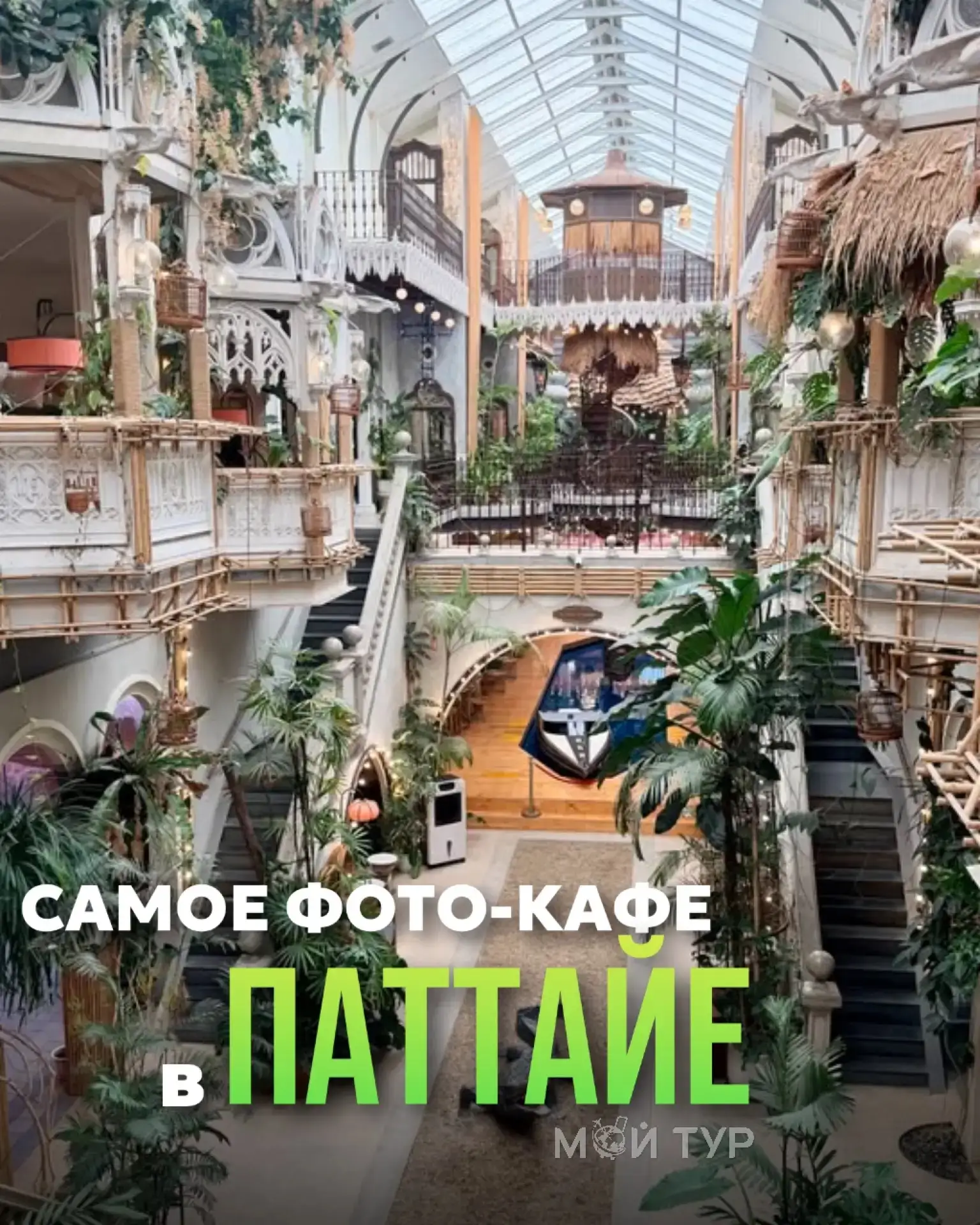 🦩 Самое фотогеничное кафе Паттайи

House of Benedict — это не просто кафе, а настоящий лабиринт из 