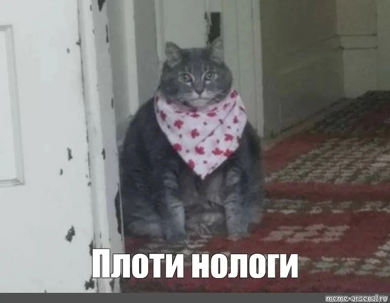 Маркетплейсы с 1 октября начнут передавать ФНС данные о продавцах и заключённых с ними договорах, пи