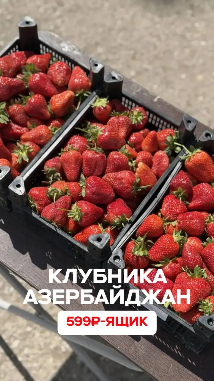 Натуральная , выращенная в открытом грунте. Без какой либо химии 🍓