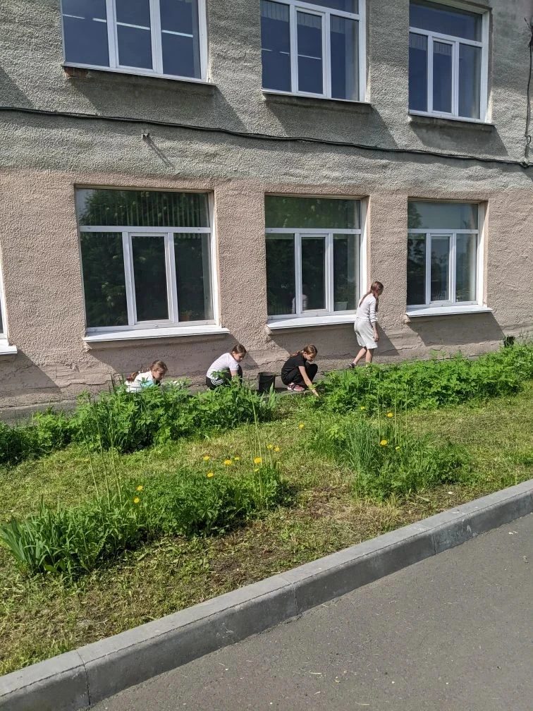 ☀️ Лето — время делу, а не только безделью.

С 1 июня в нашей школе стартовала летняя трудовая отраб