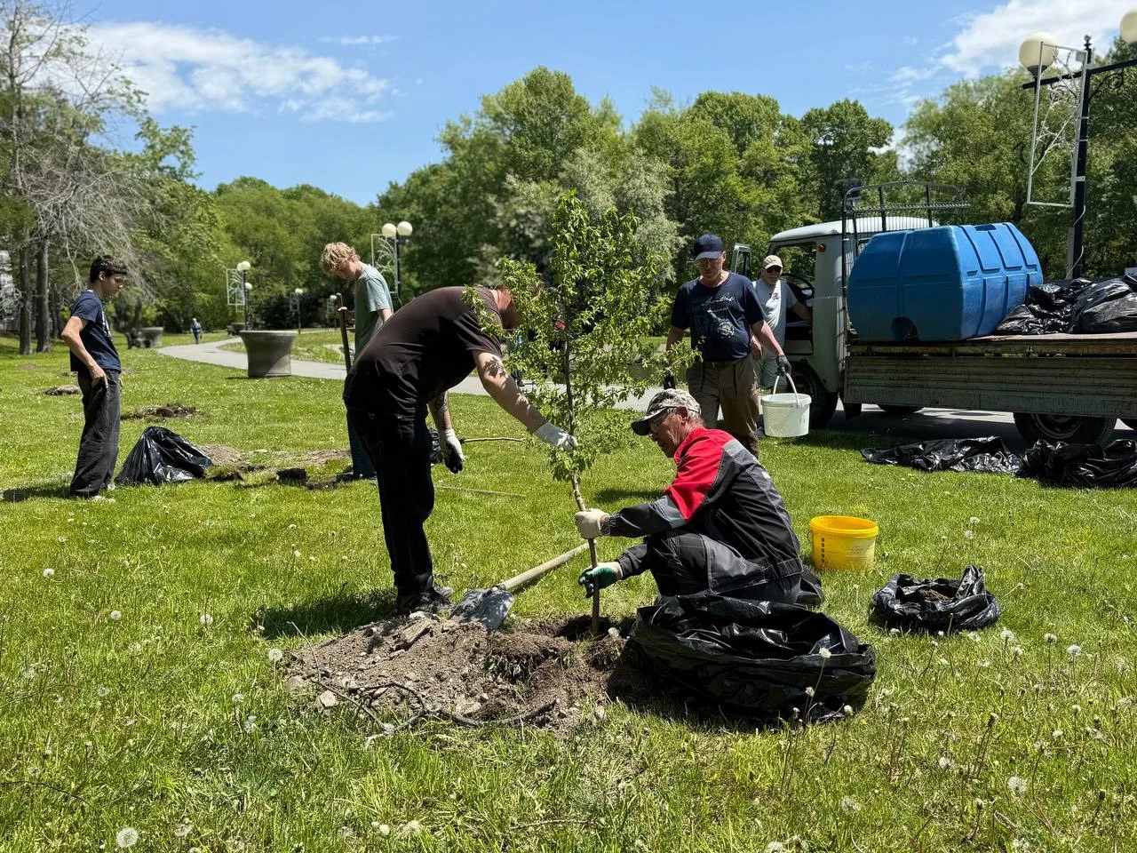 🌱 Сегодня стартовал проект «Мое дерево в парке» по озеленению — и первые 15 деревьев уже заняли сво