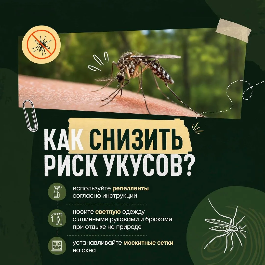 ☝️Летом на Ямале комары становятся постоянными спутниками прогулок и отдыха на природе. Их укусы обы