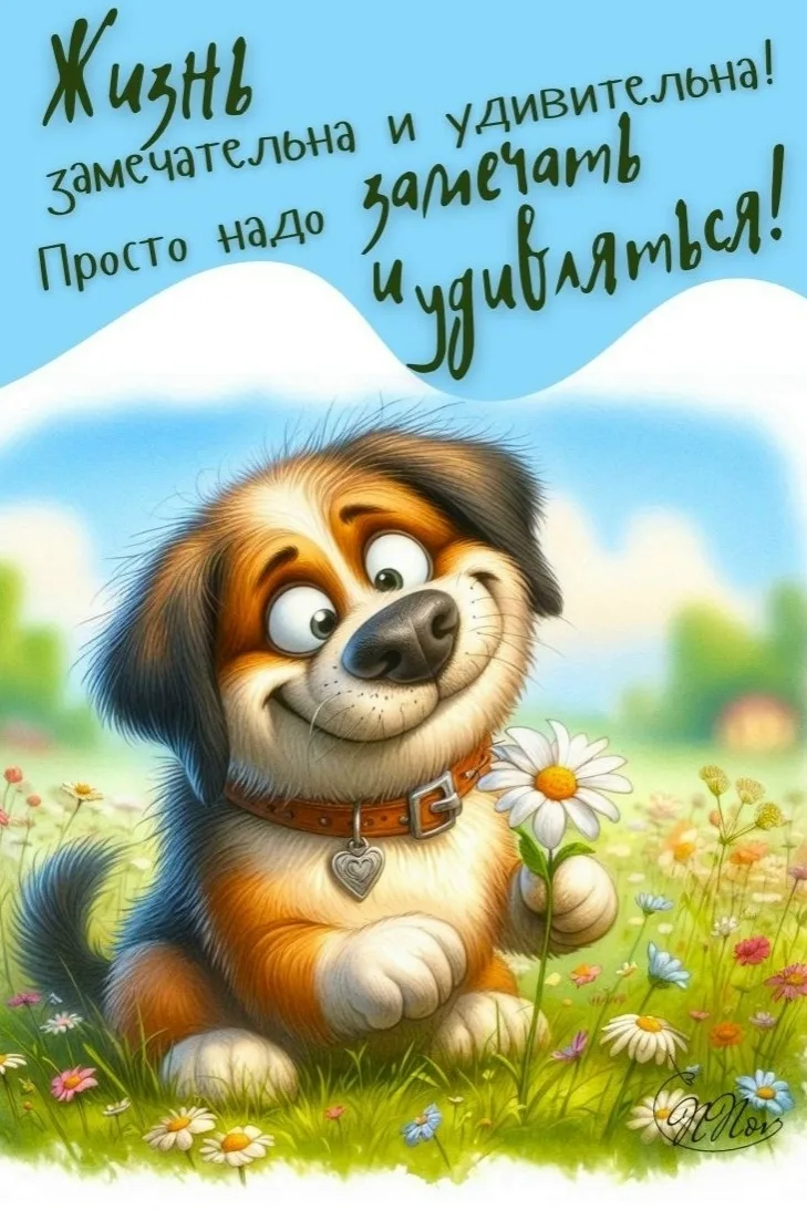 👍👍👍
~Открытки и Поздравления~

✅ Открытки и поздравления - Подпишись
