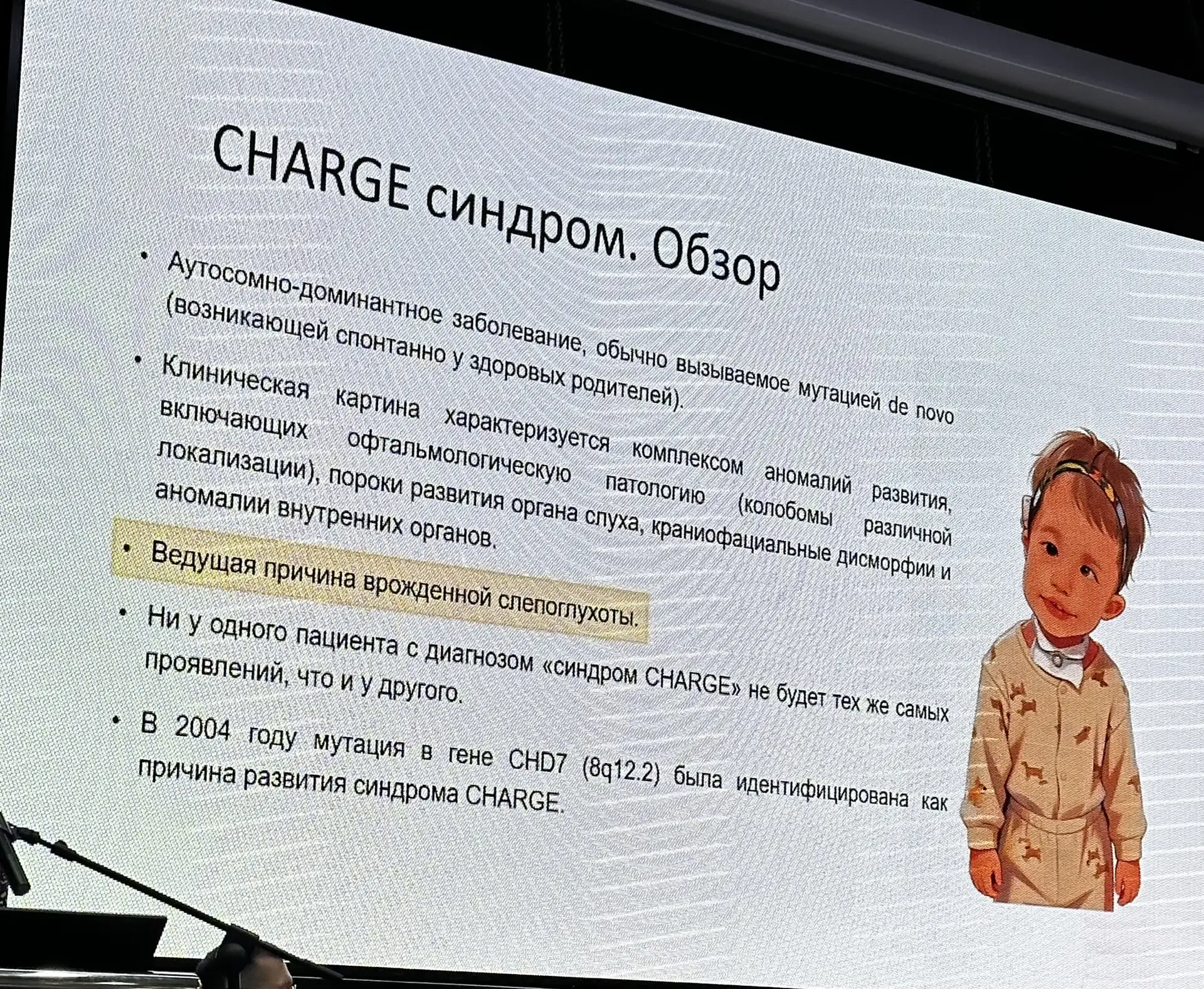 CARGE (Соколова В.Н)