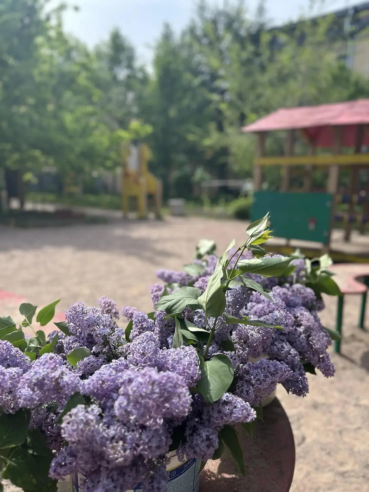 🪻 МИНИ-АКЦИЯ 🪻
✨Меняем вашу улыбку
на букетик сирени ✨