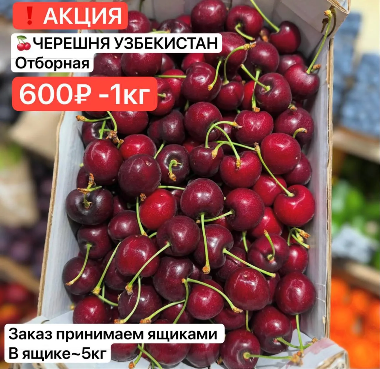 🍒ЧЕРЕШНЯ (УЗБЕКИСТАН) 
Отборная 
ЦЕНА: 600₽/кг

Заказ принимаем ящиками 
В ящике ~ 5 кг

Ящик 2,5 к