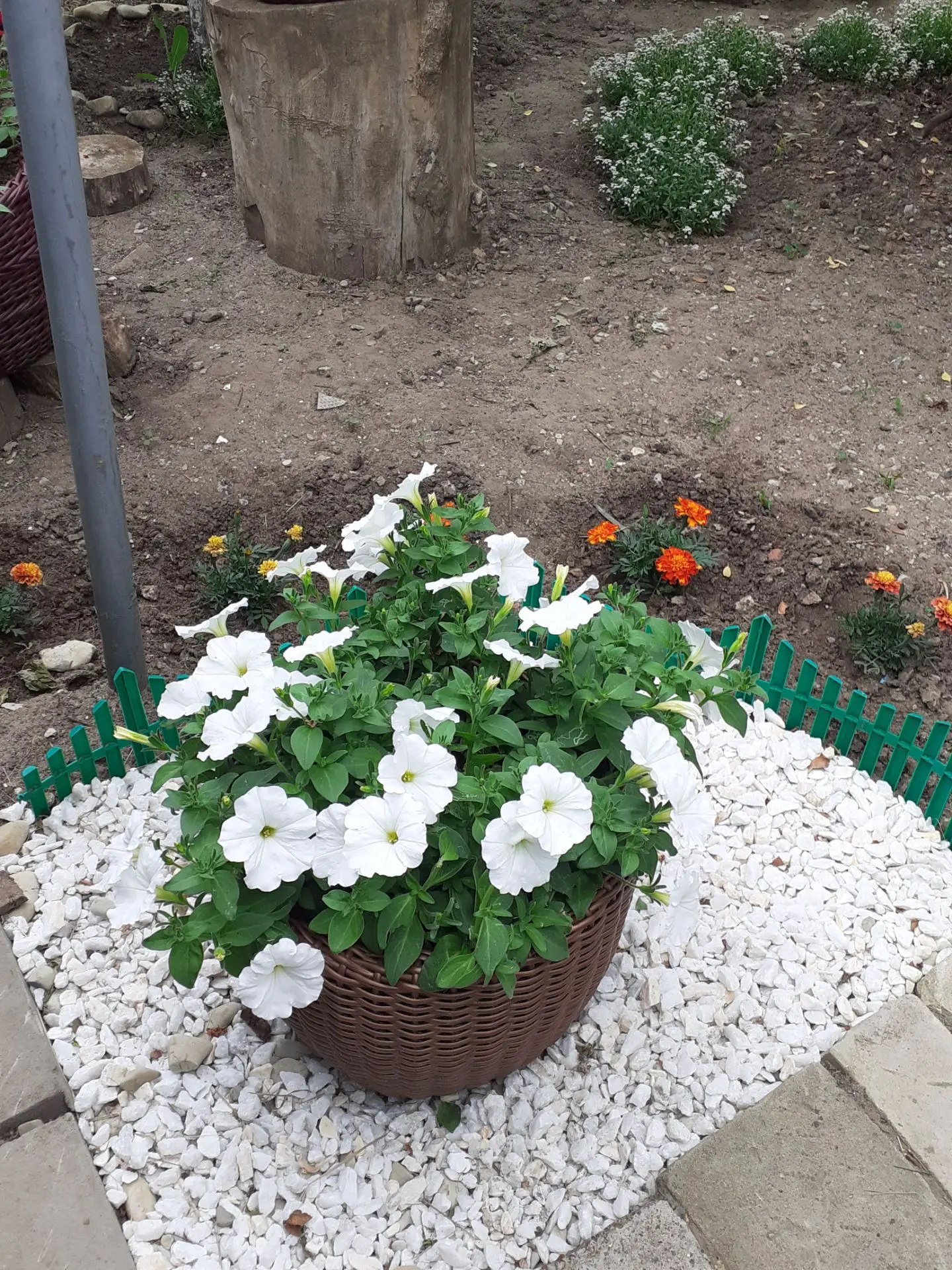 В моих кашпо уже прекрасно живут цветочки )))