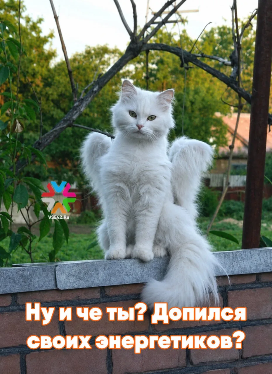 Что будет, если выпить энергетик в жару: ответ кузбасского Минздрава

В Министерстве здравоохранения
