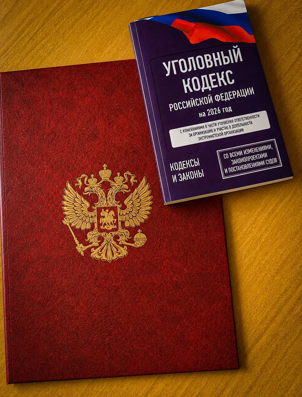 Приговоры по делам о серийных кражах вступили в законную силу
 
Белгородский областной суд вынес апе