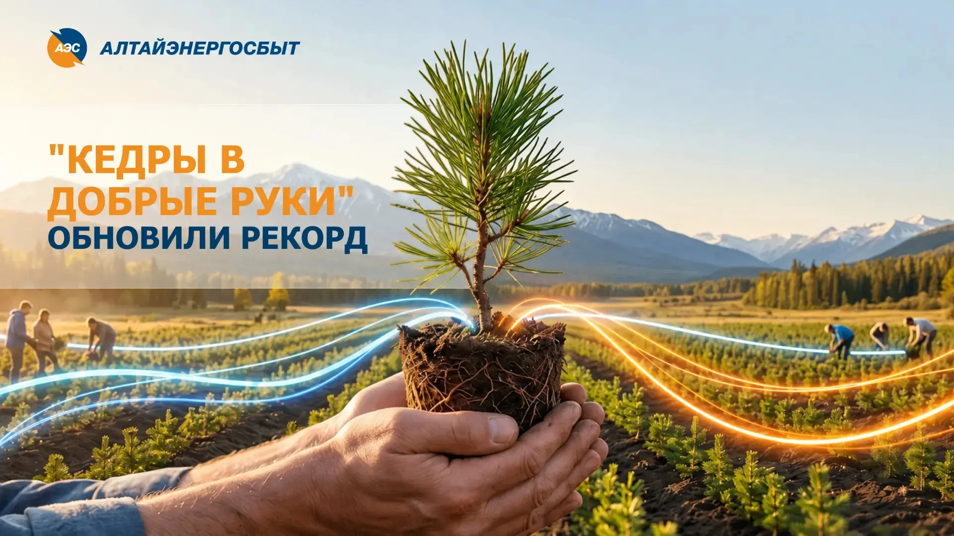"Алтайэнергосбыт" в 2026 году повторил рекорд экологического проекта «Кедры в добрые руки»💪
 
🌲В э