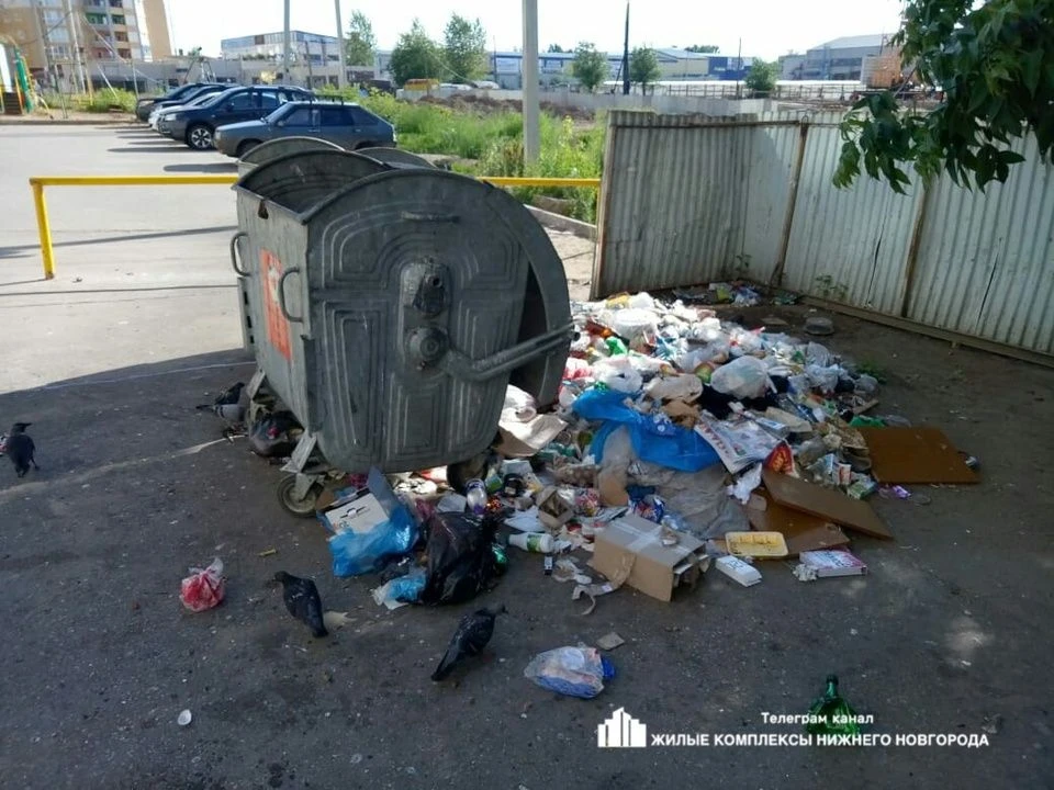 ❓Вопрос от подписчика: Кто должен убирать мусор возле контейнерной площадки?

✅Часто многие граждане