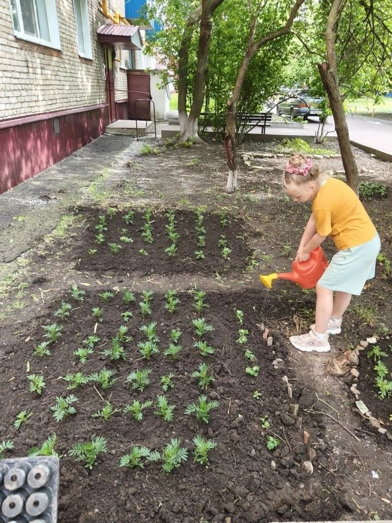 🌸Продолжается работа по украшению придомовых территорий.
На клумбы около подъездов дома 6 первого м