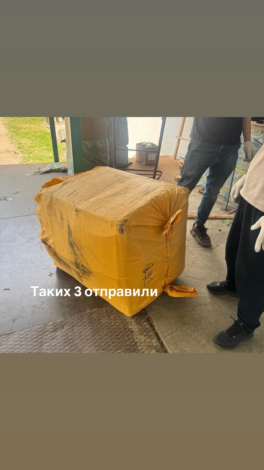 Из рабочих процессов:

🔸на днях отправили большую партию растений заказчику (делаем это периодическ
