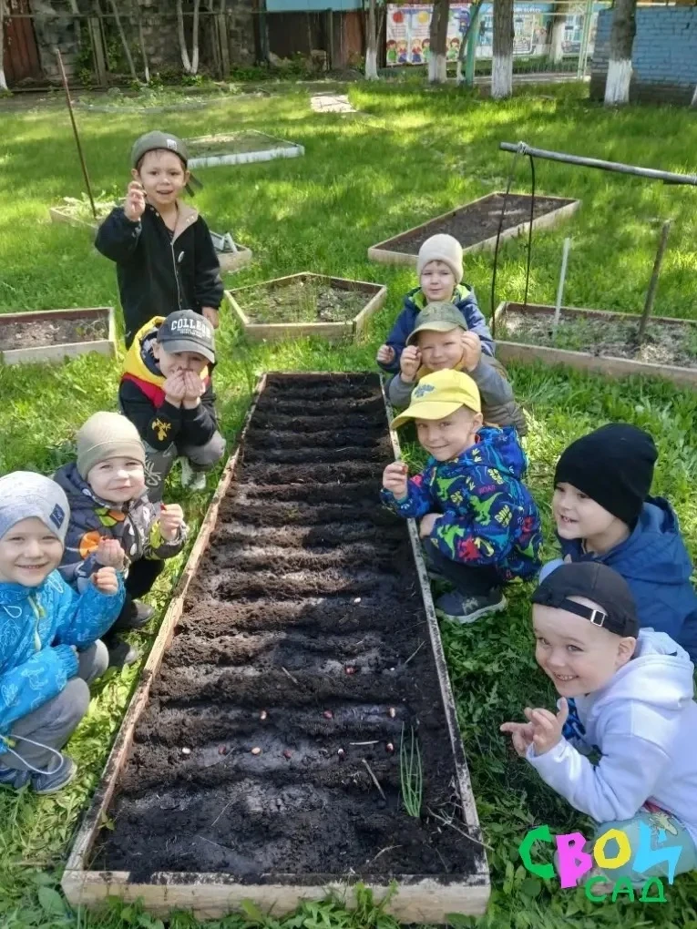 «Маленькие огородники: как дети группы «Солнышко»сажали фасоль» 🌱

Во второй младшей группе «Солныш
