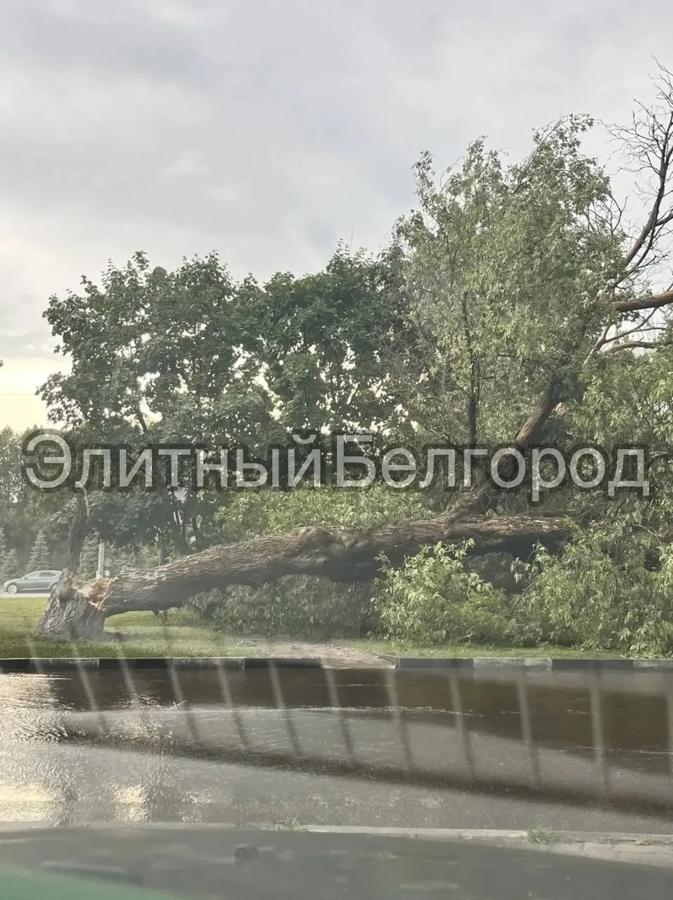 ❗️Сегодня на проспекте Богдана Хмельницкого, 160 после непогоды упало большое дерево



Подписаться
