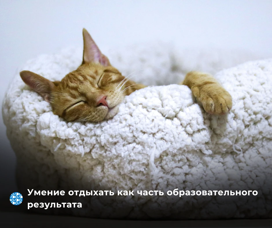Взрослых сложно мотивировать учиться. Они сопротивляются, бросают курсы, не включают камеру и не чит