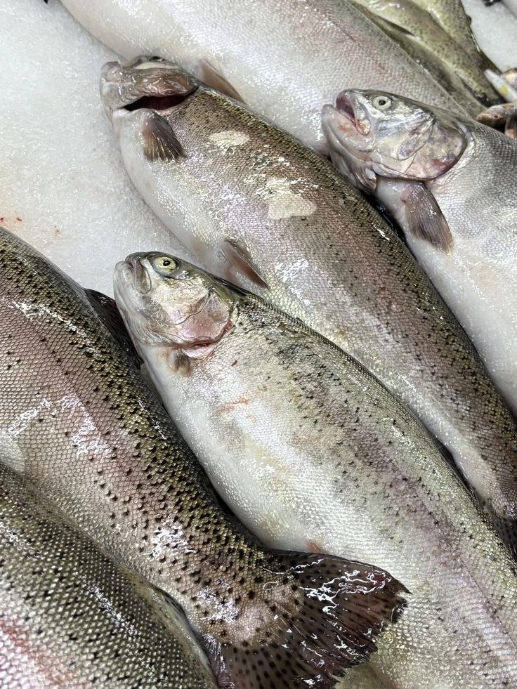 Уважаемые покупатели, снова в наличии! 🐟 

✅Форель, наша цена 789,00 руб за кг!

Ждем Вас за покупк