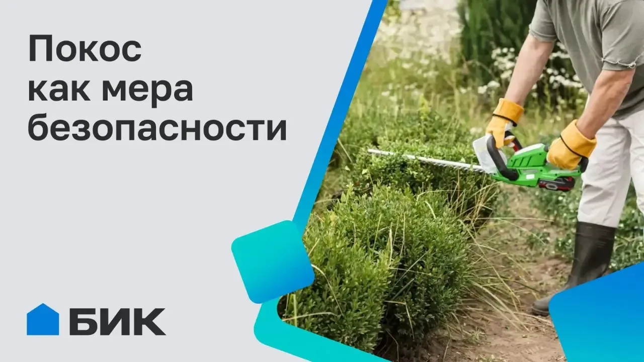 Порядок на участке — залог безопасности

В период активного строительного сезона своевременный покос