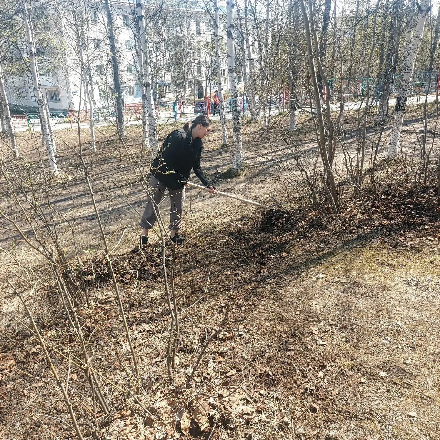 Каждую неделю сотрудники Центра досуга принимают участие в субботниках, направленных на уборку приле