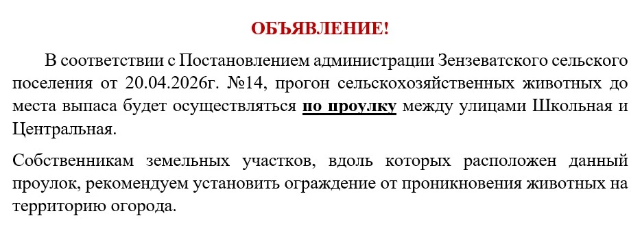 ‼️ОБЪЯВЛЕНИЕ ‼️