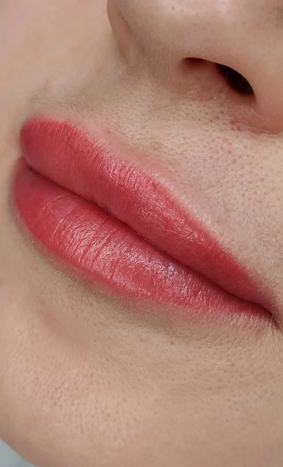 Микропигментирование губ, лёгкая и воздушная техника💕💕💕