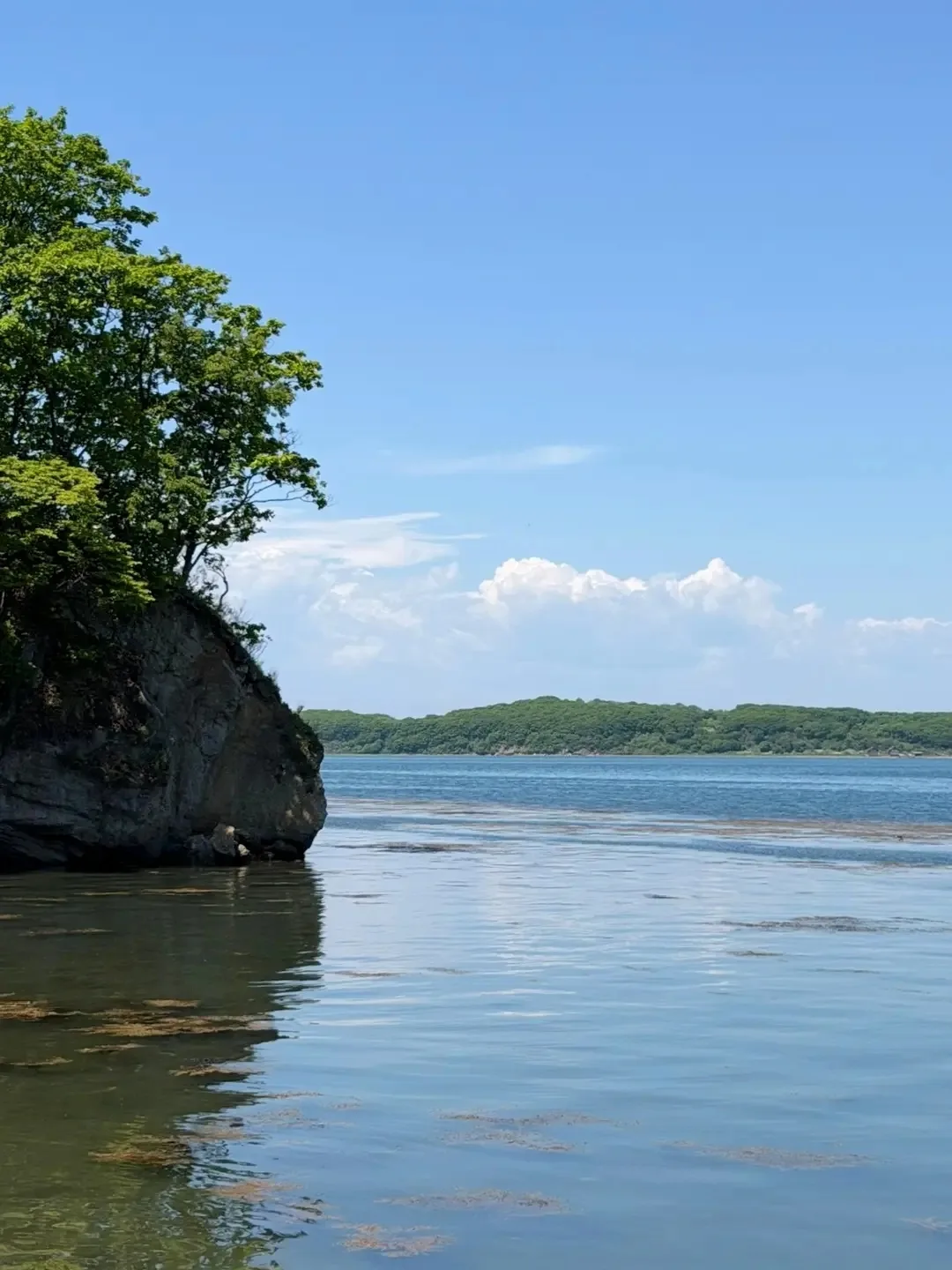 ☀️ Доброе утро, Большой Камень!

                               🦋 
В июне самый длинный день,
А ноч