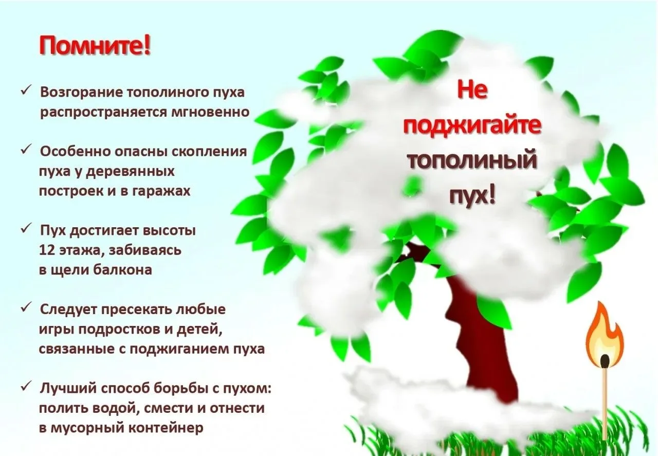 🔥 Тополиный пух, июнь и ... пожароопасная обстановка. Лето набирает обороты и поэтому мы напоминаем