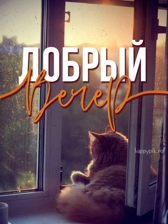 🌼Прикольные открытки