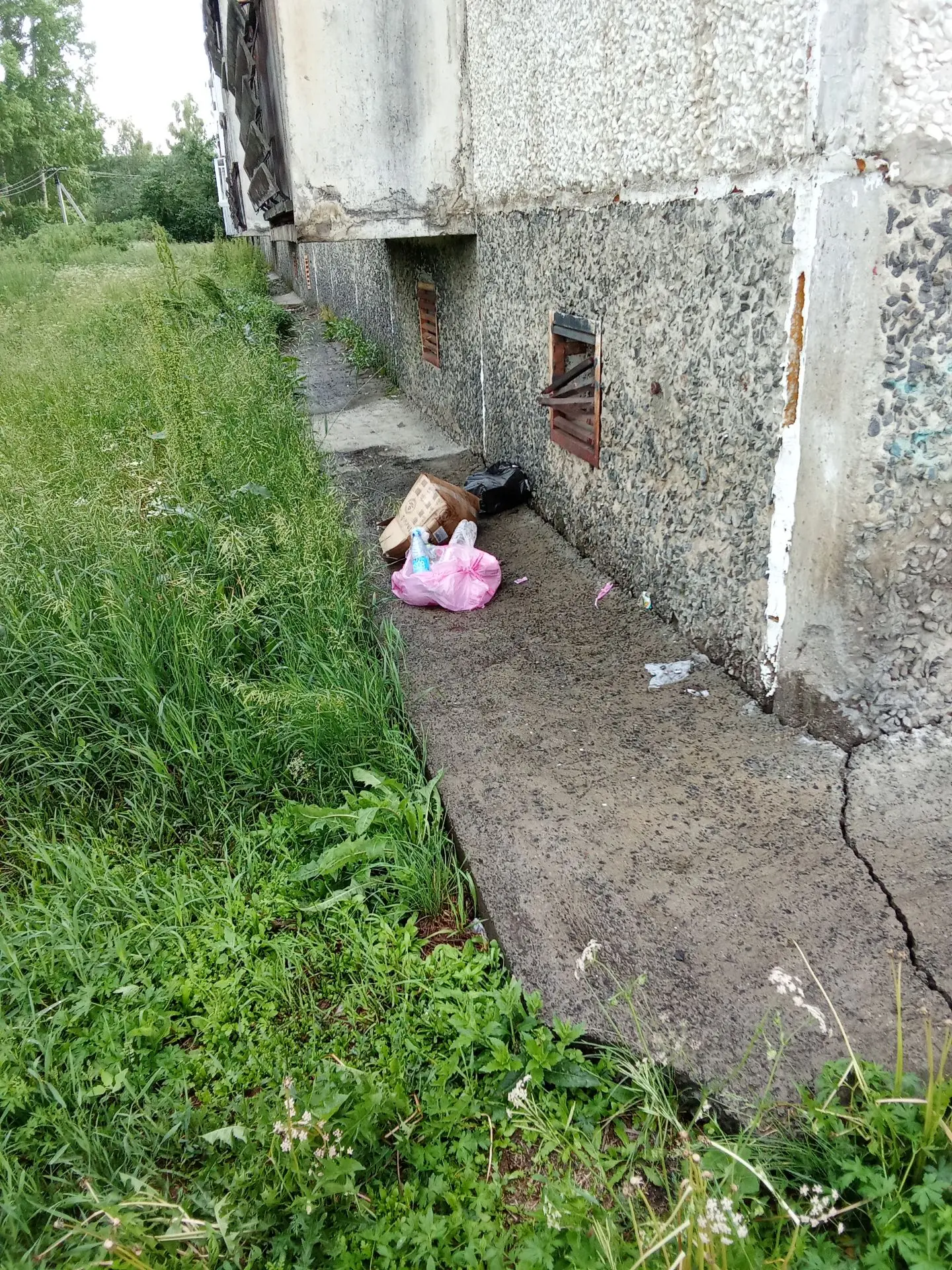 Чей мусор за домом?