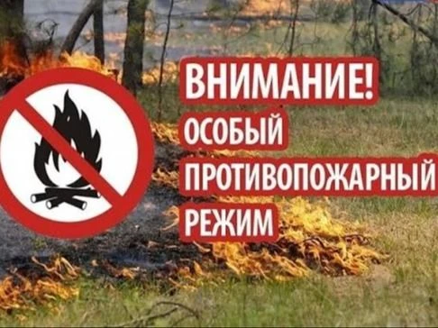 Основным виновником лесных пожаров является человек. Большинство пожаров возникает в местах пикников