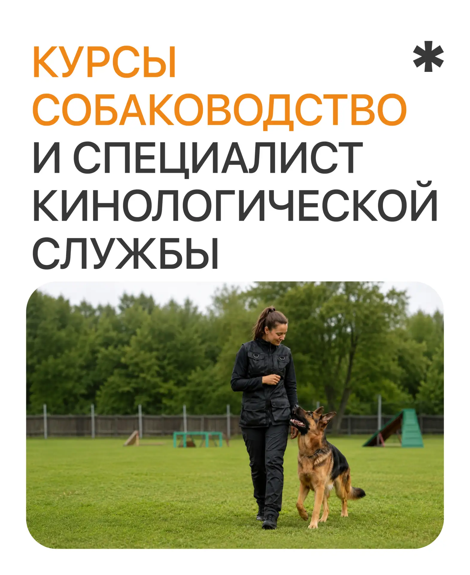 Продолжаем рубрику «Про курсы». Сегодня — про обучение для работы с собаками 🐕

В Профакадемии есть