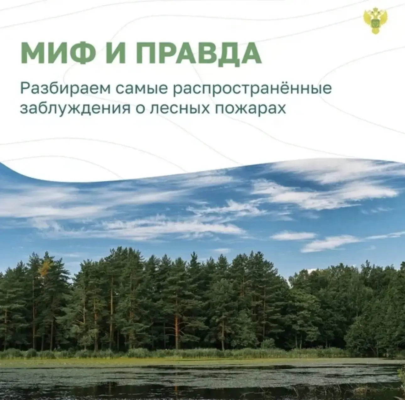 Мифы и правда о лесных пожарах.