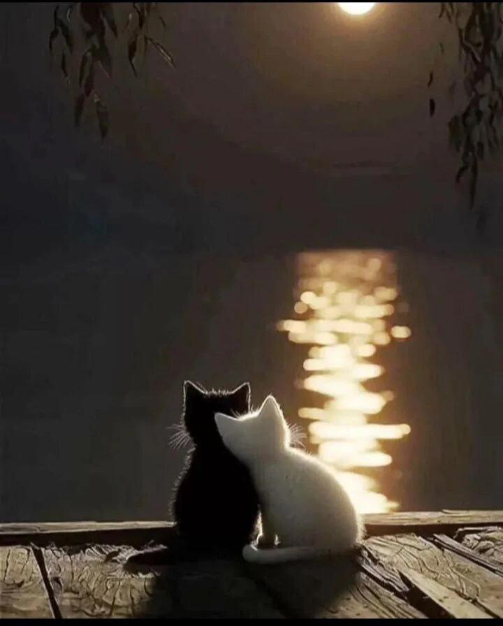 Доброй всем ночки..💙✨💙😇💙✨💙