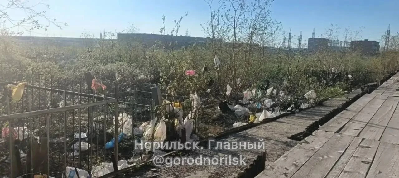 «Уважаемая Администрация! Почему бы не сделать субботник на старом кладбище, вид ужасающий🤬 Мусор, 