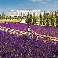 Краснодар проснулся от громкого взрыва

Подписаться:
•  max.ru/Park_Krasnodar