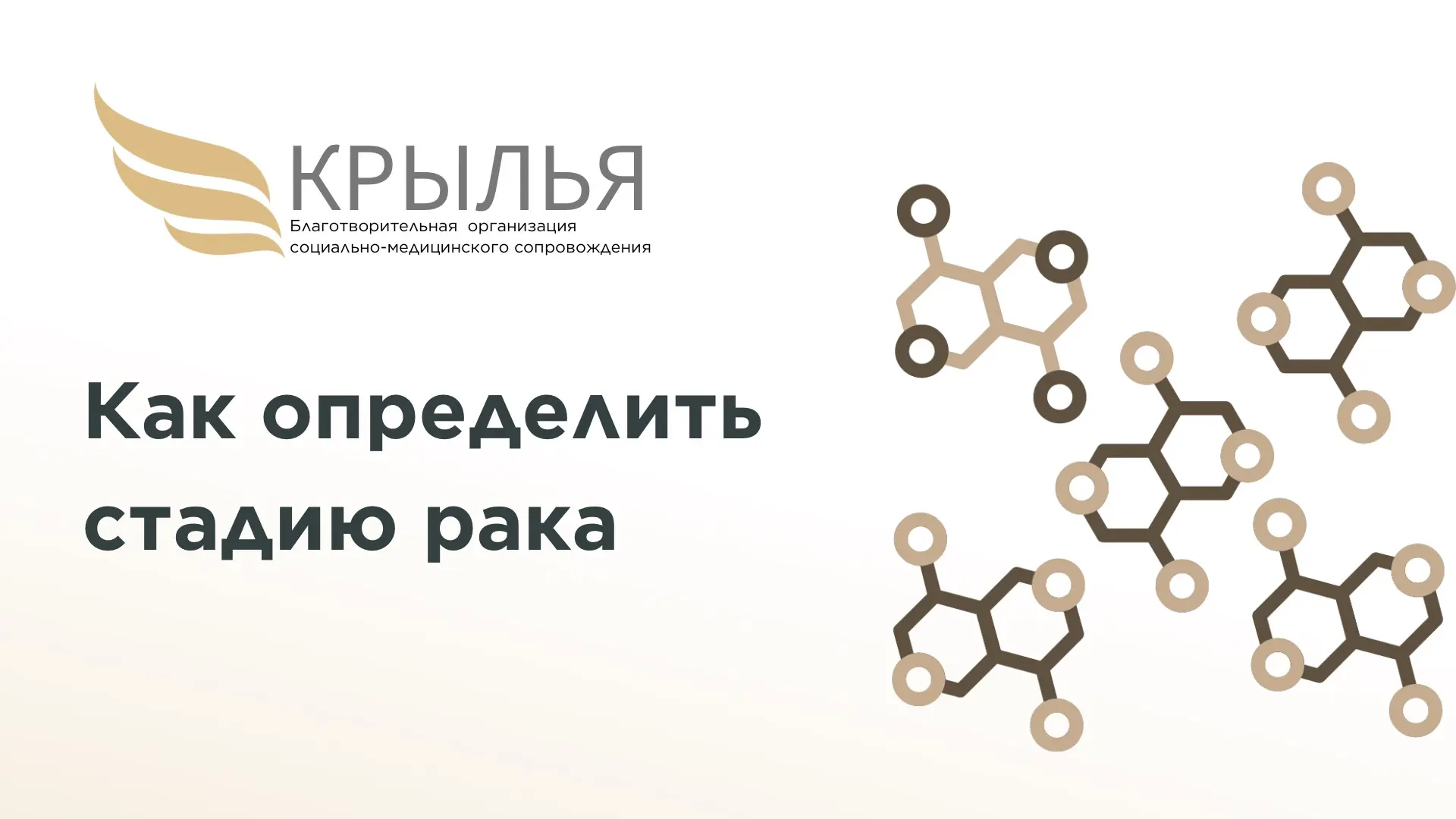 Как определяют стадию рака

В медицине используется международная система TNM. Она помогает описать,