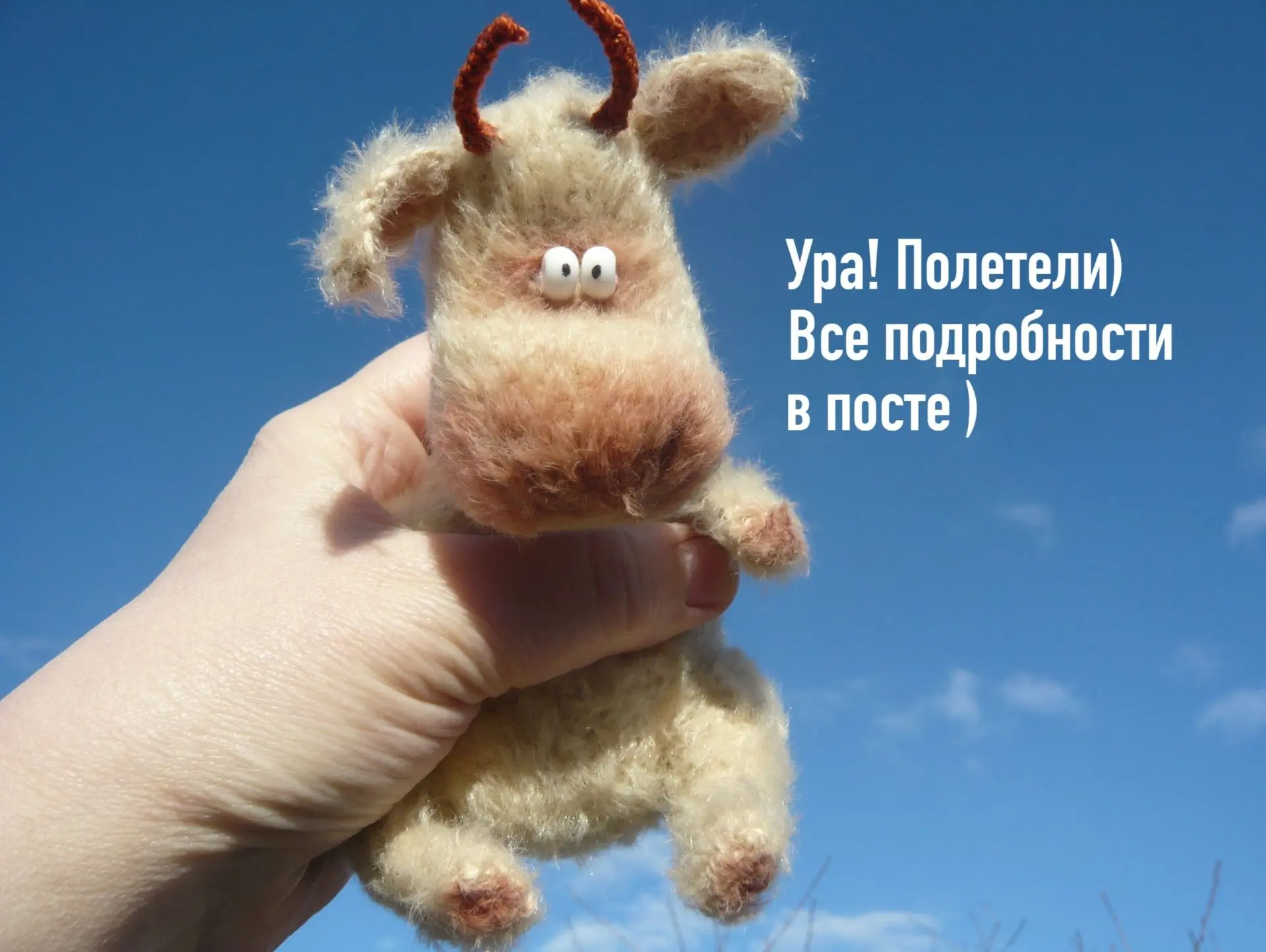 Девчата, подробности здесь - https://vk.com/wall-89629772_70949
