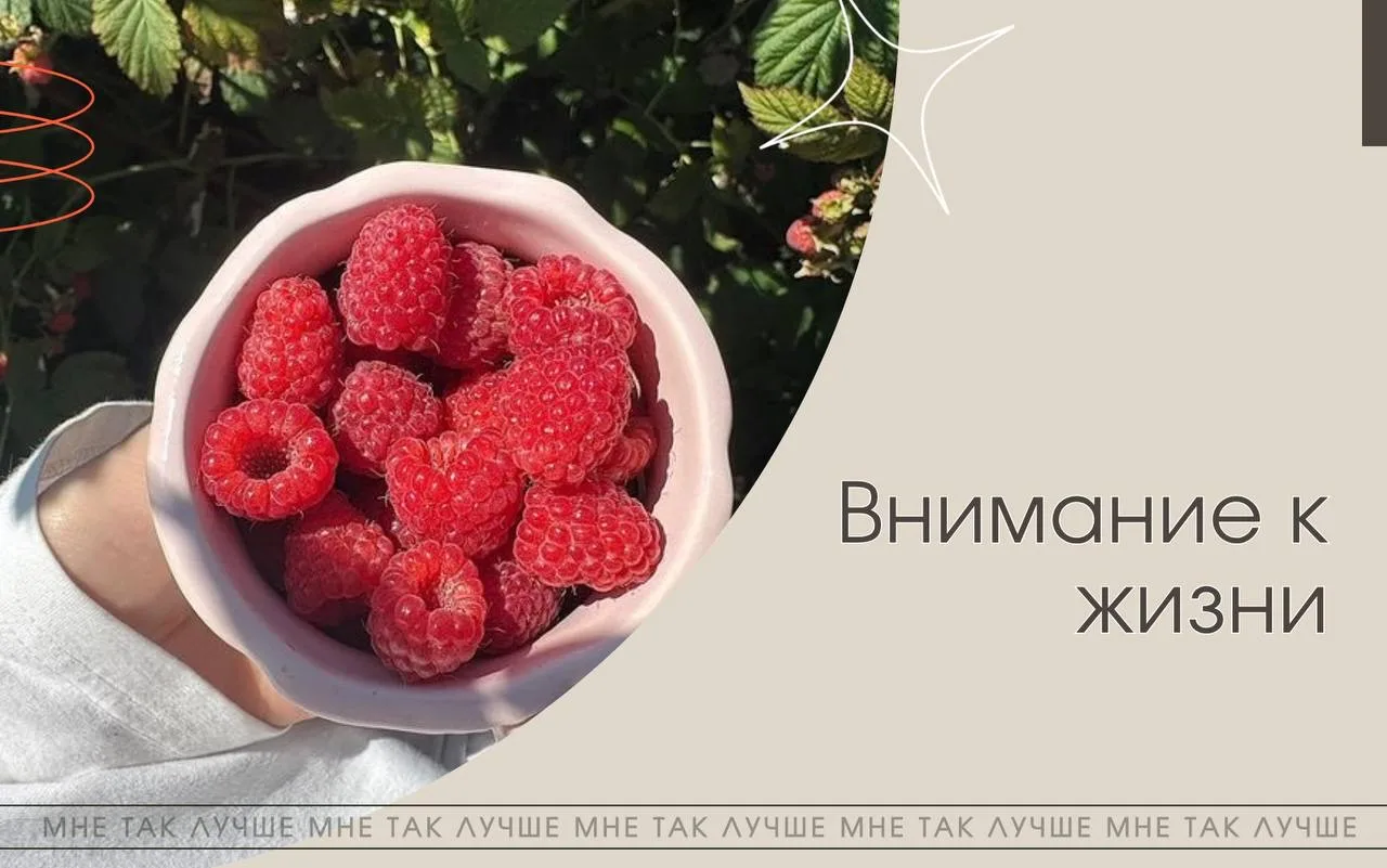 Счастье здесь и сейчас ❤️

Часто мы откладываем счастье на будущее, связывая его с важными событиями