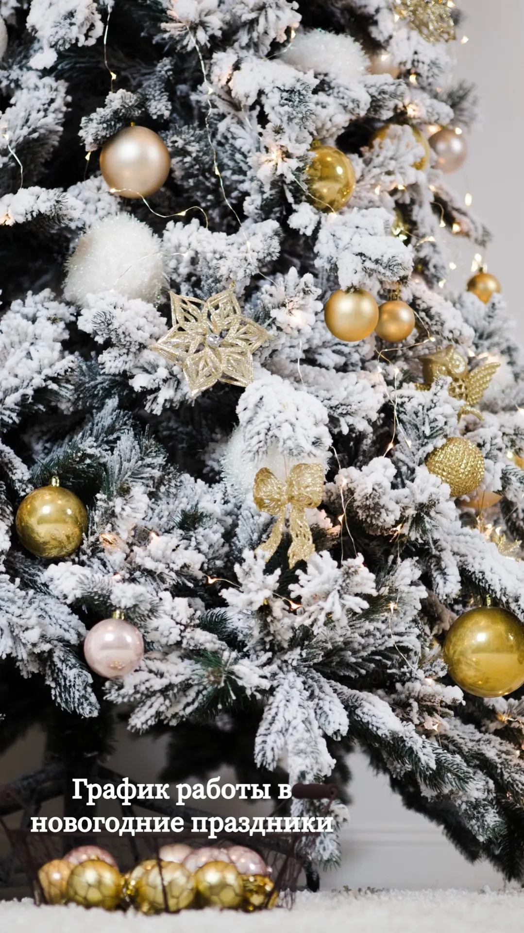 🎄🎅🏻Как мы работаем в новогодние праздники?

С 8.00 до 13.00 будут вести прием врачи терапевты в п