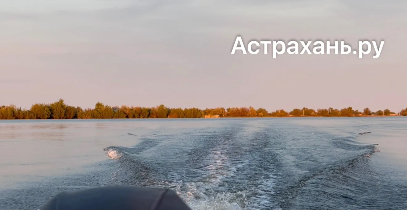 Деньги не пахнут: в Астраханской области процветает незаконная рыбалка на воблу

В Астраханской обла
