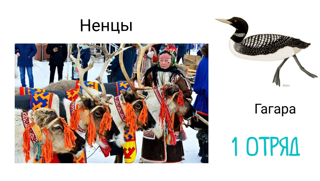 В городском лагере «Канарейка» стартовала смена «Птицы и Народы России» 🐦✨

Каждый народ нашей стра