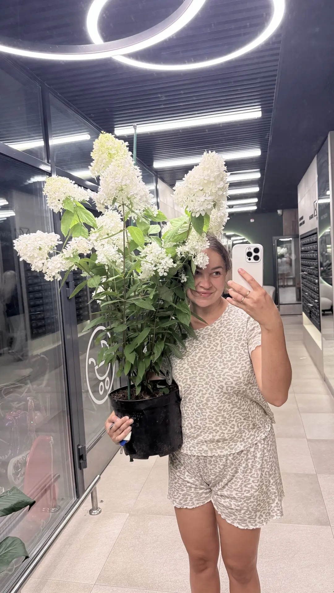 Что нужно дарить хозяюшкам вместо букета😃🤭
Большой куст гортензии мэджикал свит саммер🔥😍