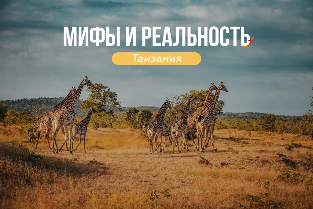 🏝️ Что на самом деле скрывает от нас Танзания?

Когда речь заходит об Африке и Танзании в частности