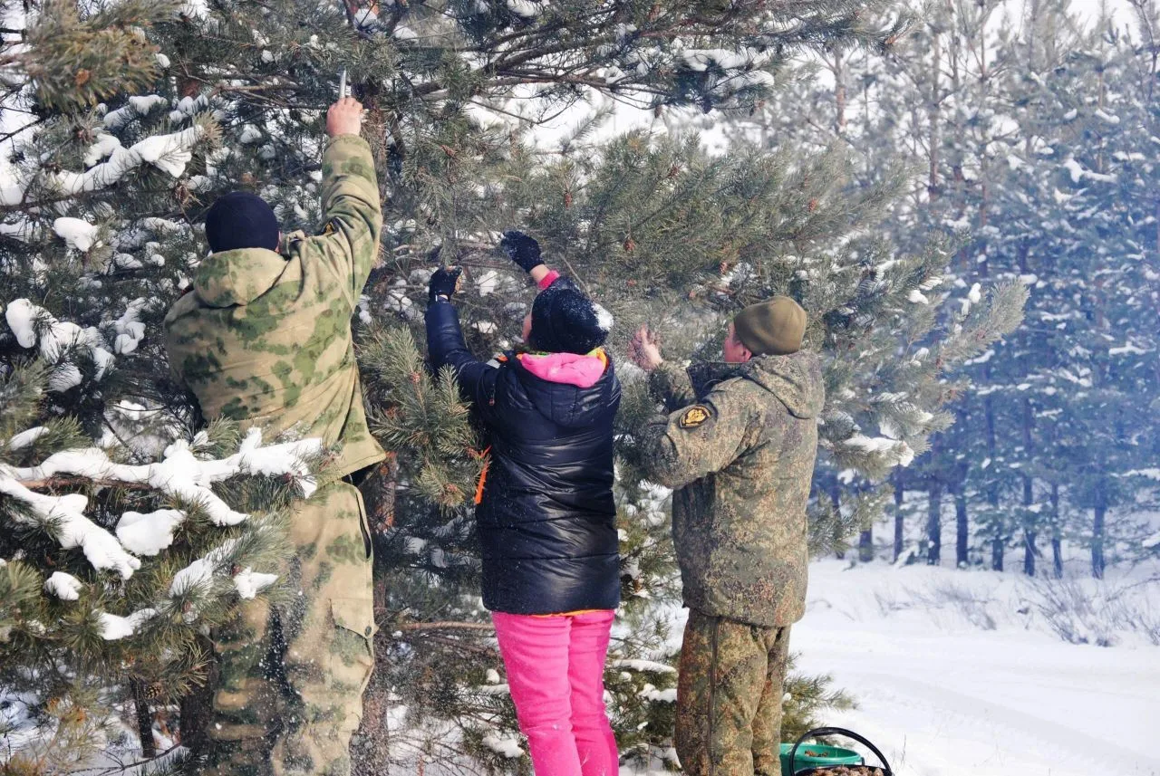 ГБУ ЛНР Луганское лесоохотничье хозяйство с целью восстановления лесов, которые пострадали от пожаро