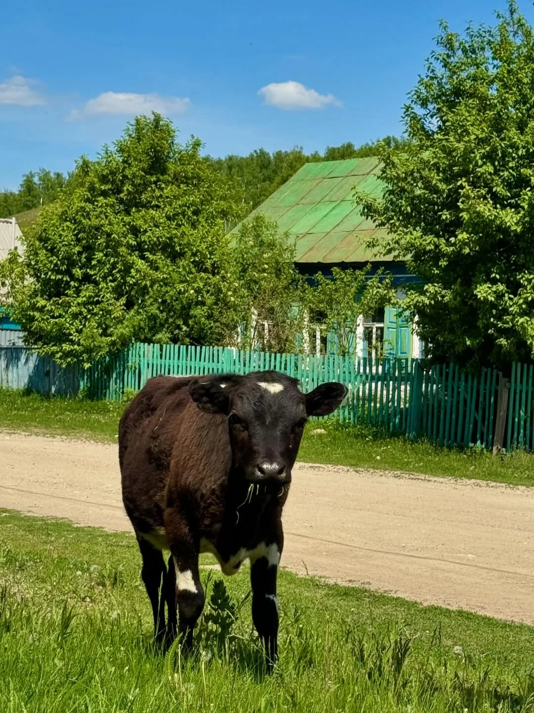 Лето в деревне - как отдельный счастливый мир.
Без тревог и суеты. 

📍Оренбургская область
📸 Derev