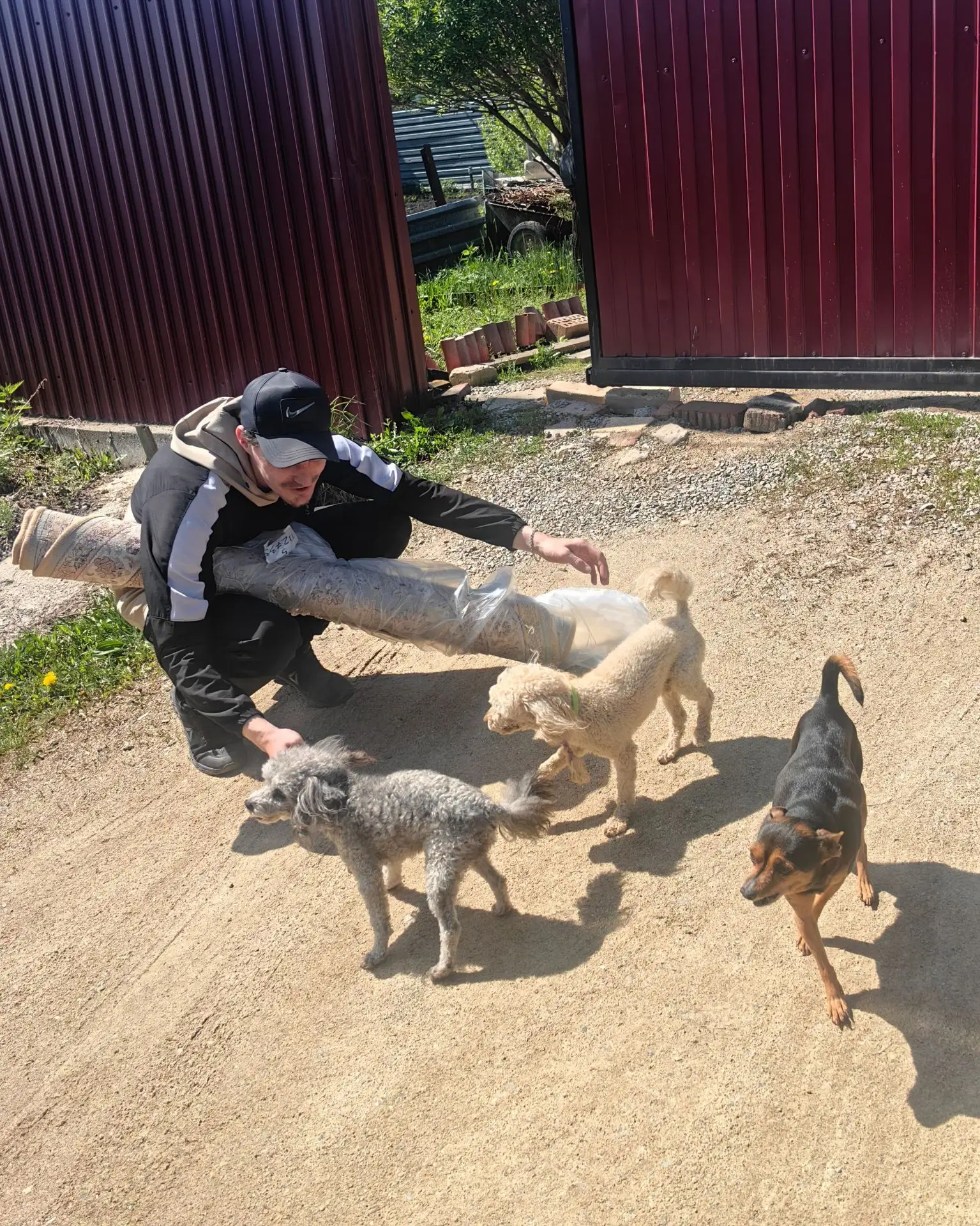 😅ПОКА ВСЕ ПРИХОДЯТ В СЕБЯ ПОСЛЕ ВЫХОДНЫХ, косятся на календарь и тихонько вздыхают - мы решили спас