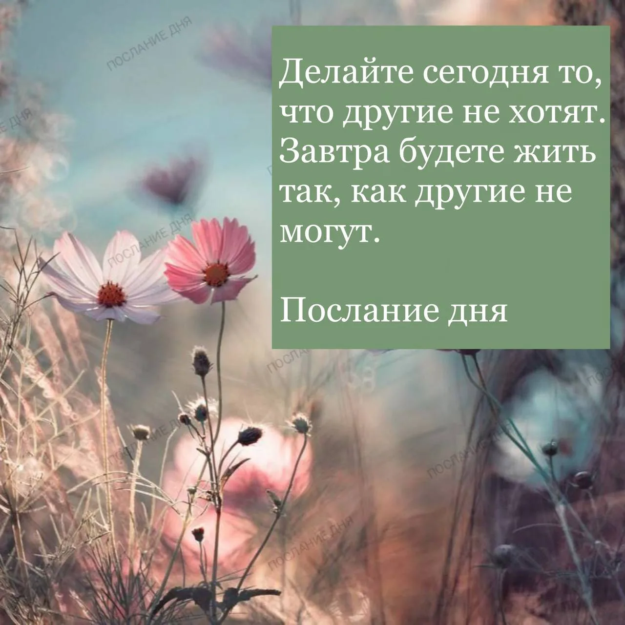 Послание дня