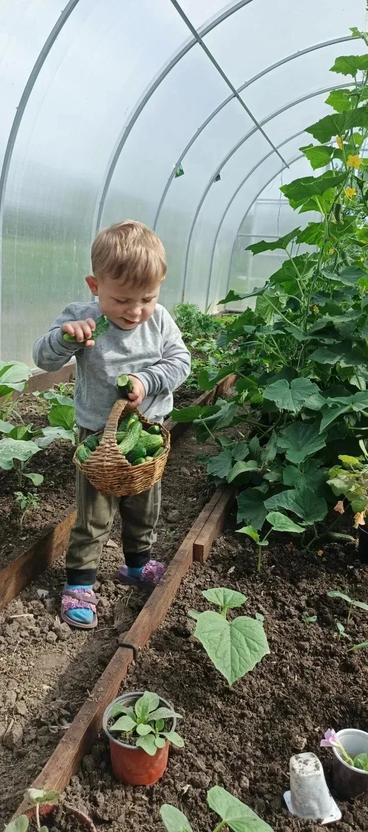 Трудовой десант набирает обороты! ⚡🌱
Лето в самом разгаре, и наш дружный коллектив не сидит без дел